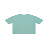 2026-04/g02.261.500052-aq-366-15.png